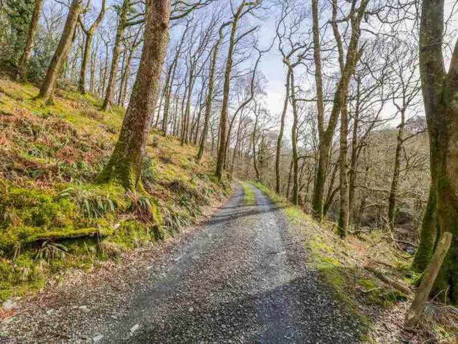 Pandy Farmhouse - Panoramic Mountain Views Within Snowdonia'S National Park - 4X4 Recommended Dolgellau Exterior photo